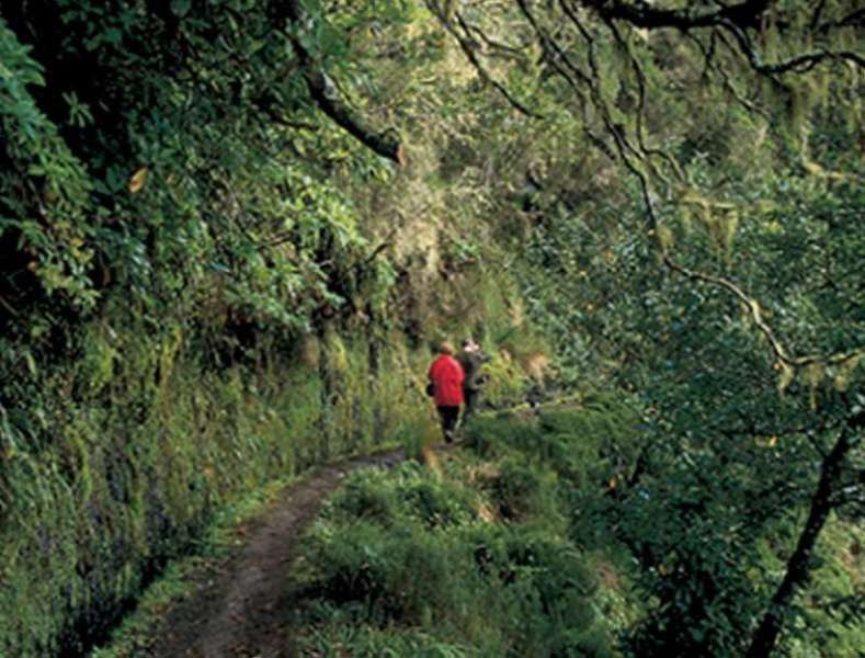 Dorisol Pousada Dos Vinhaticos Serra de Água Buitenkant foto